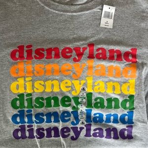 NWT Rainbow Disneyland T-Shirt Gray Size Small